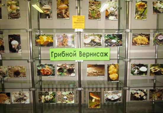 Грибной вернисаж Грибной вернисаж