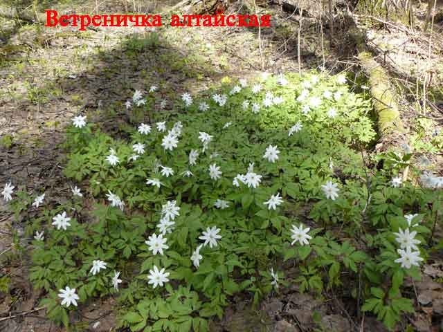 Успешное завершение исследований в трех районах республики