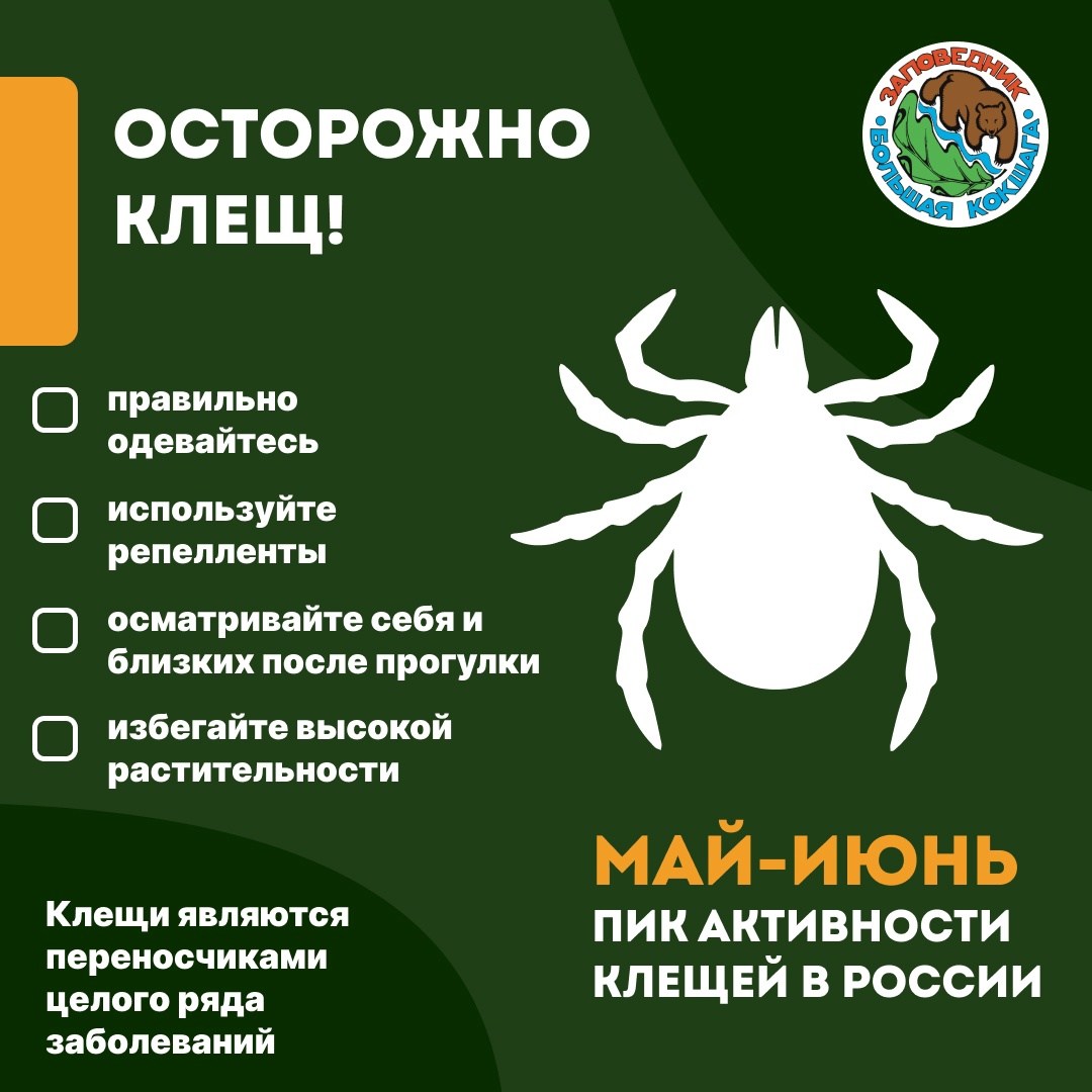 Внимание: сезон клещей в разгаре! Внимание: сезон клещей в разгаре!