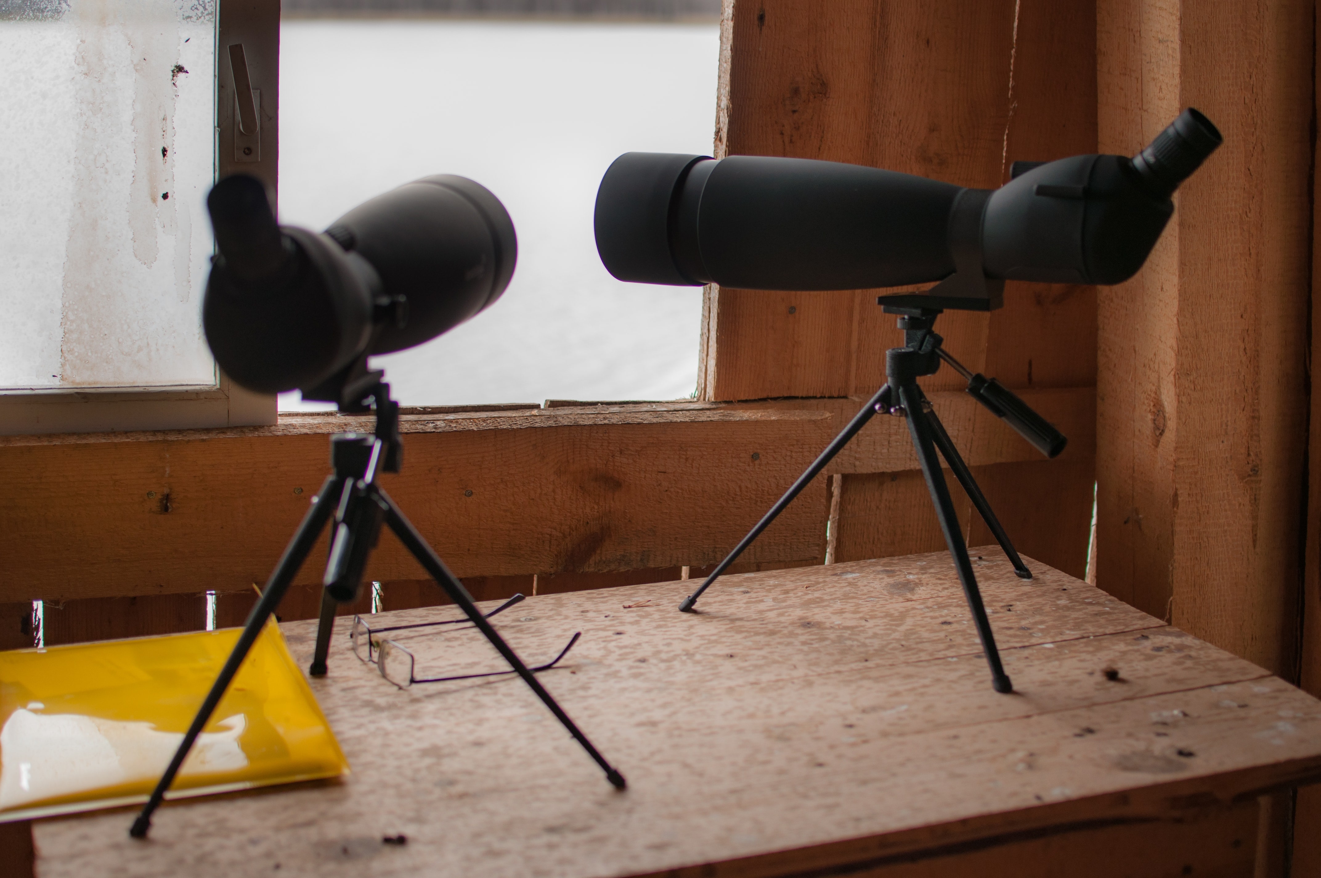 Дорогие друзья, приглашаем вас на маршрут BIRD WATCHING Дорогие друзья, приглашаем вас на маршрут BIRD WATCHING