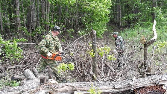 Заповедный трудовой десант Заповедный трудовой десант