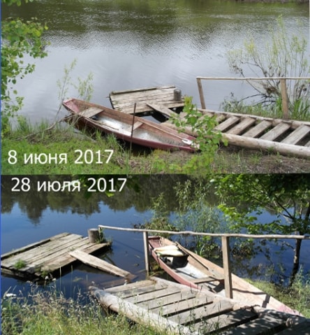 Причуды лета 2017