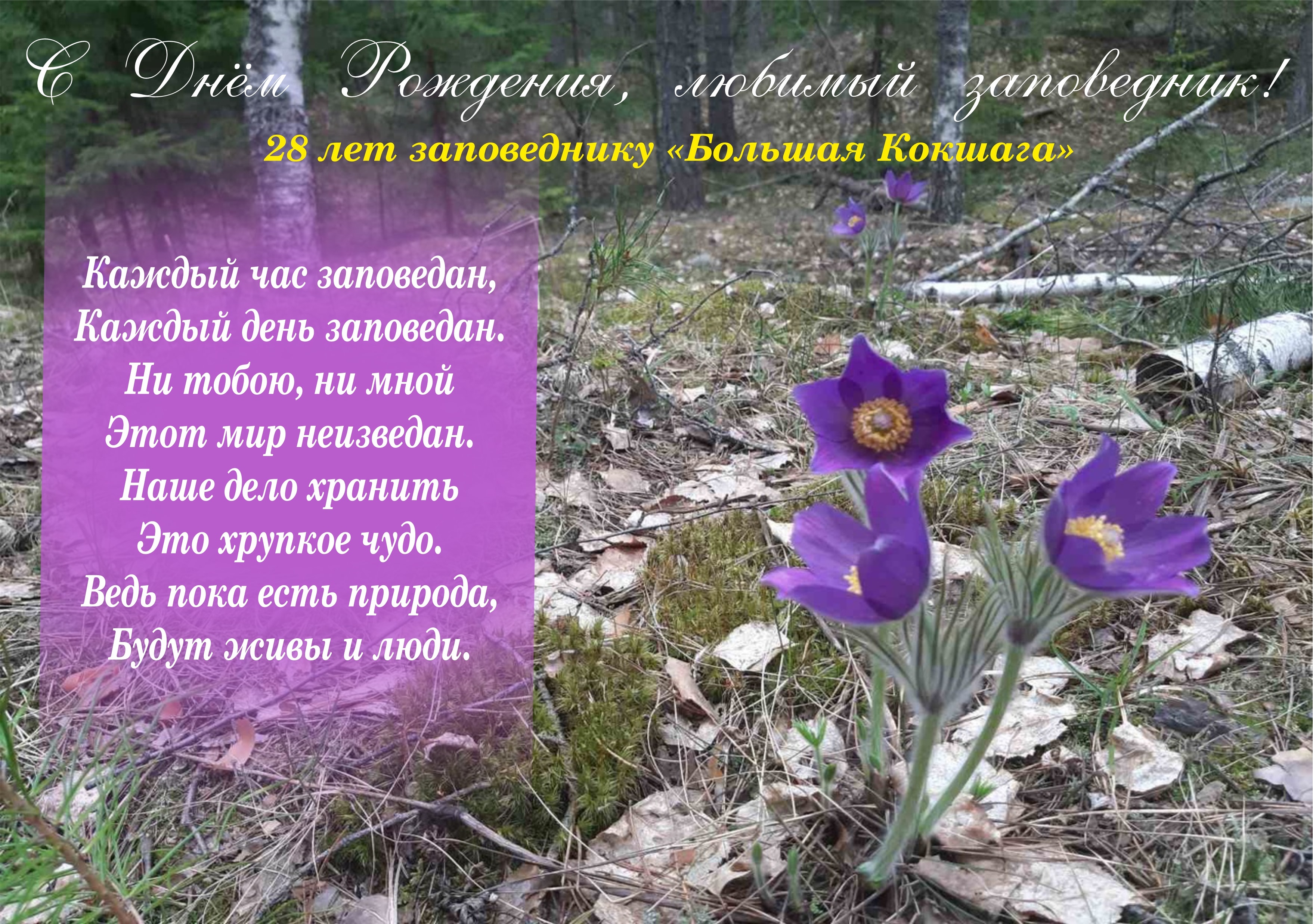 С ДНЁМ РОЖДЕНИЯ, ЗАПОВЕДНИК! С ДНЁМ РОЖДЕНИЯ, ЗАПОВЕДНИК!