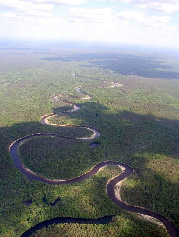 Вода несет жизнь Вода несет жизнь
