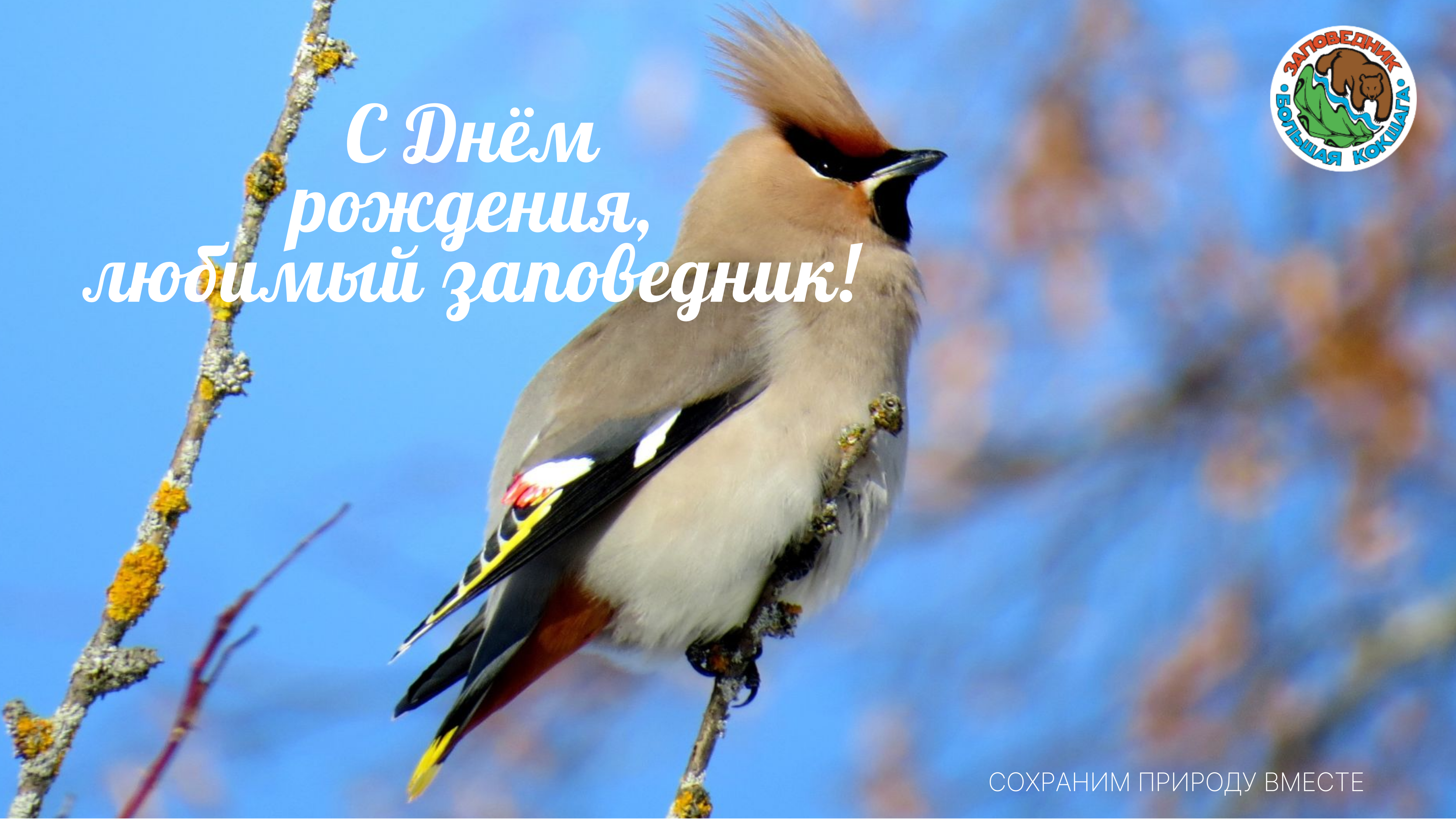 С Днем рождения, заповедник! С Днем рождения, заповедник!