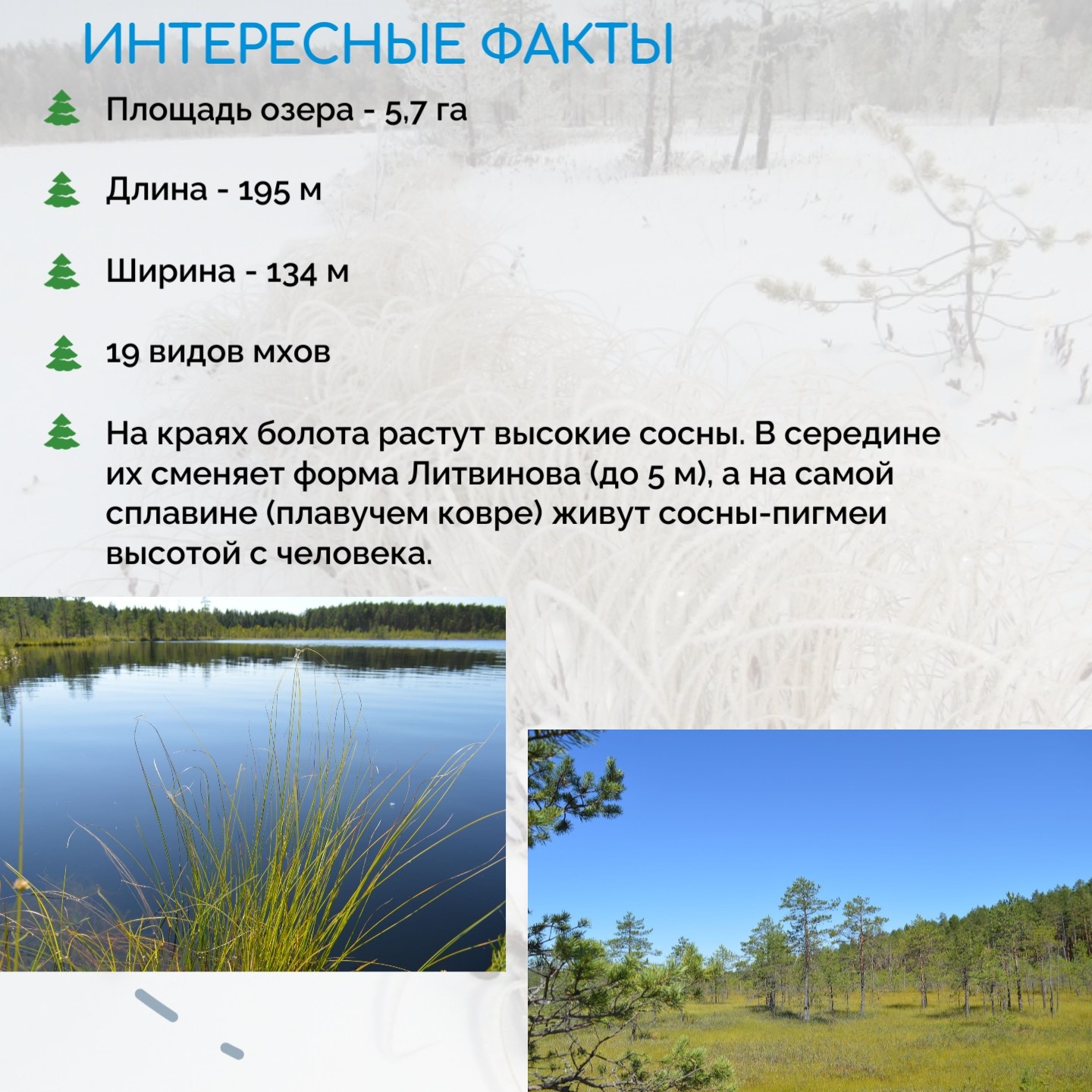 2 февраля - День водно-болотных угодий 2 февраля - День водно-болотных угодий