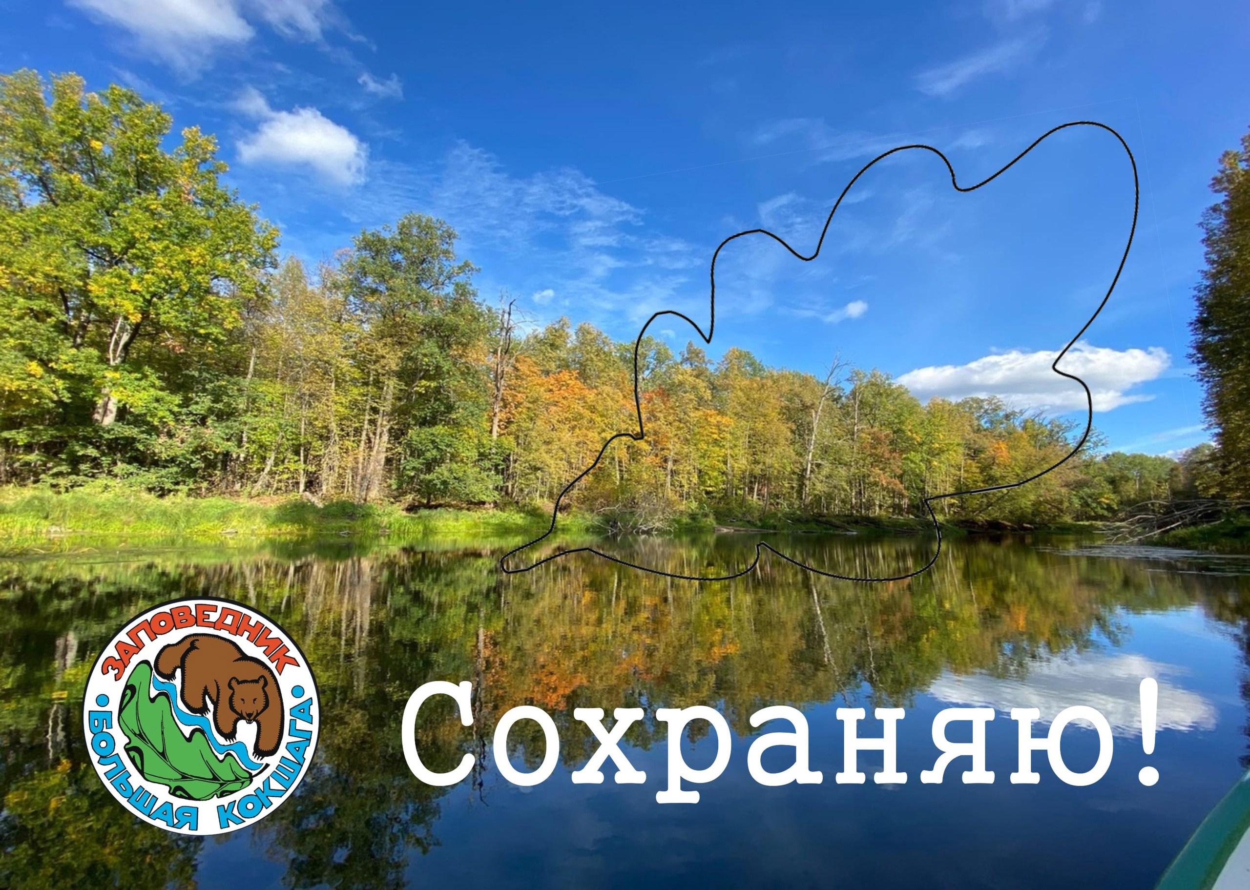 Заповедный челлендж "Сохраним вместе!" День 2 Заповедный челлендж "Сохраним вместе!" День 2