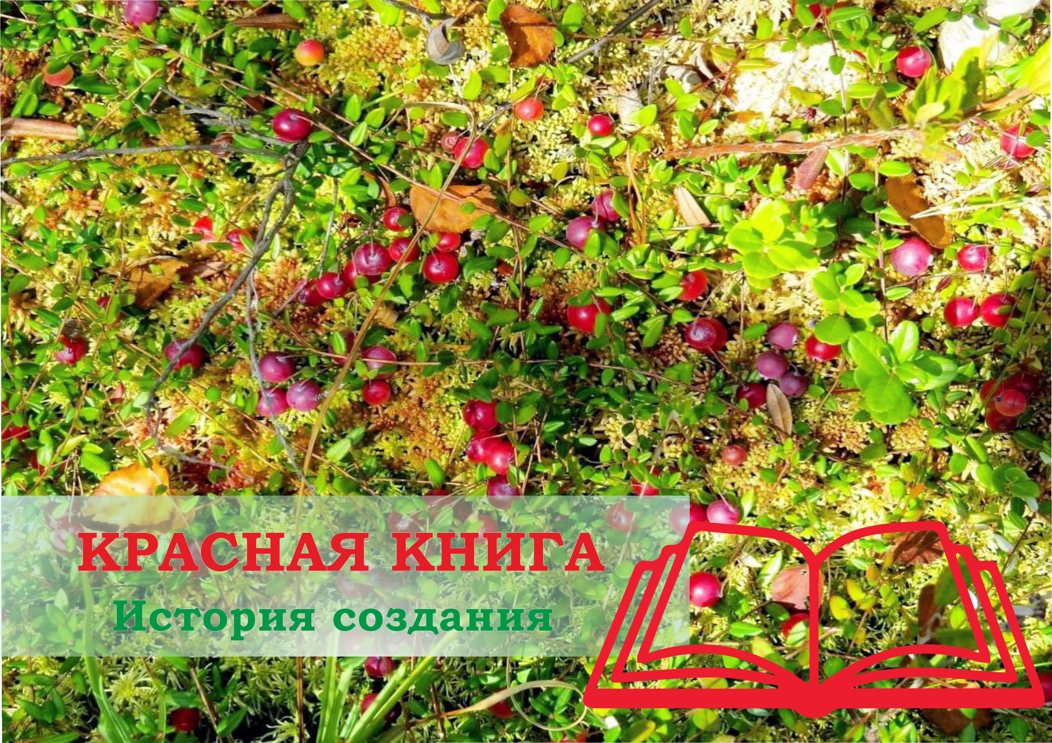 Красная книга. История создания Красная книга. История создания
