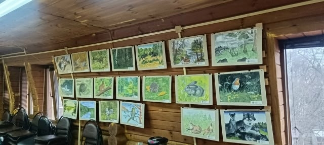 Фотовыставка «Природа заповедника «Большая Кокшага» глазами юных художников». Фотовыставка «Природа заповедника «Большая Кокшага» глазами юных художников».