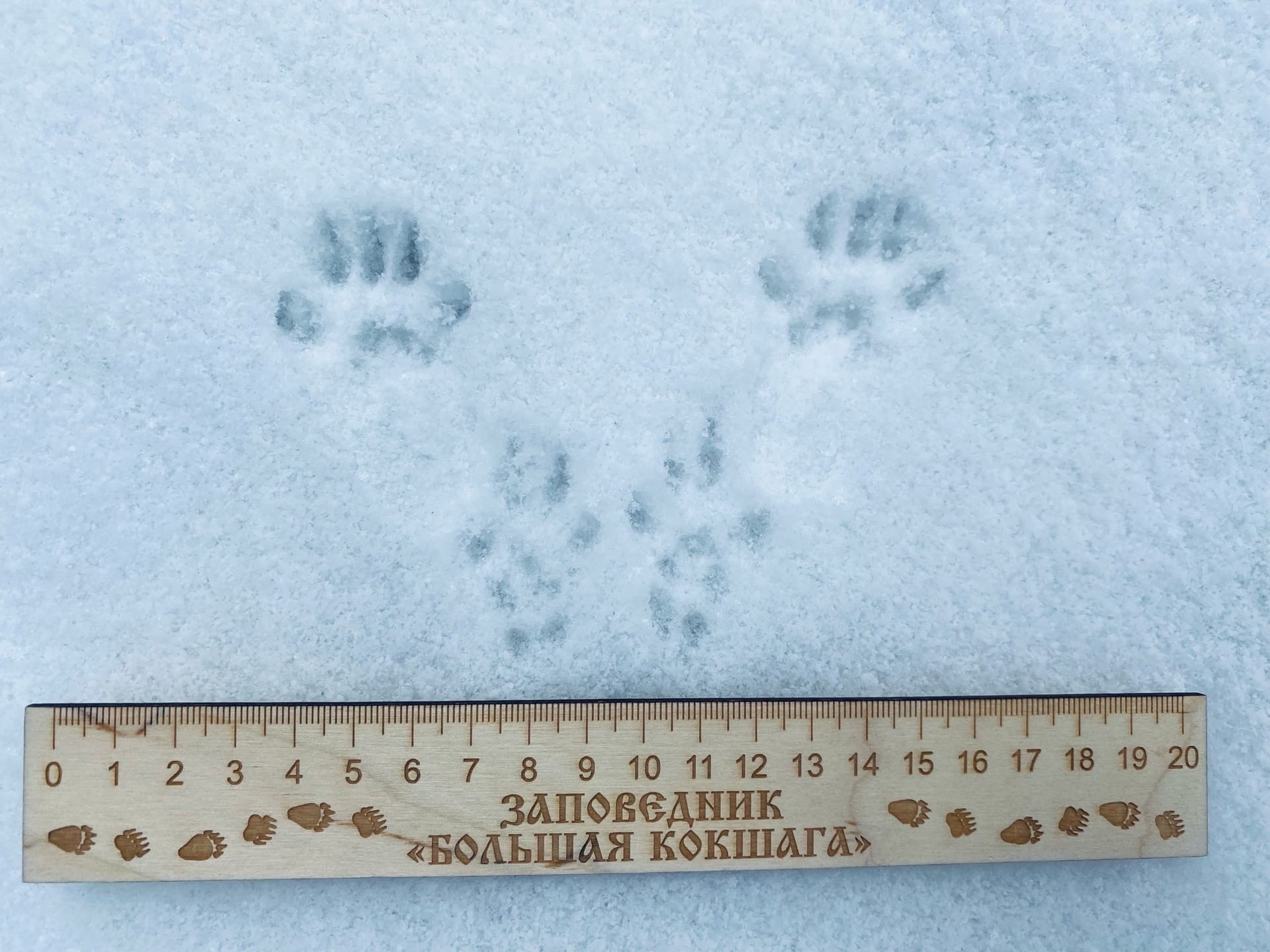 Когда ждать весеннюю погоду? Когда ждать весеннюю погоду?