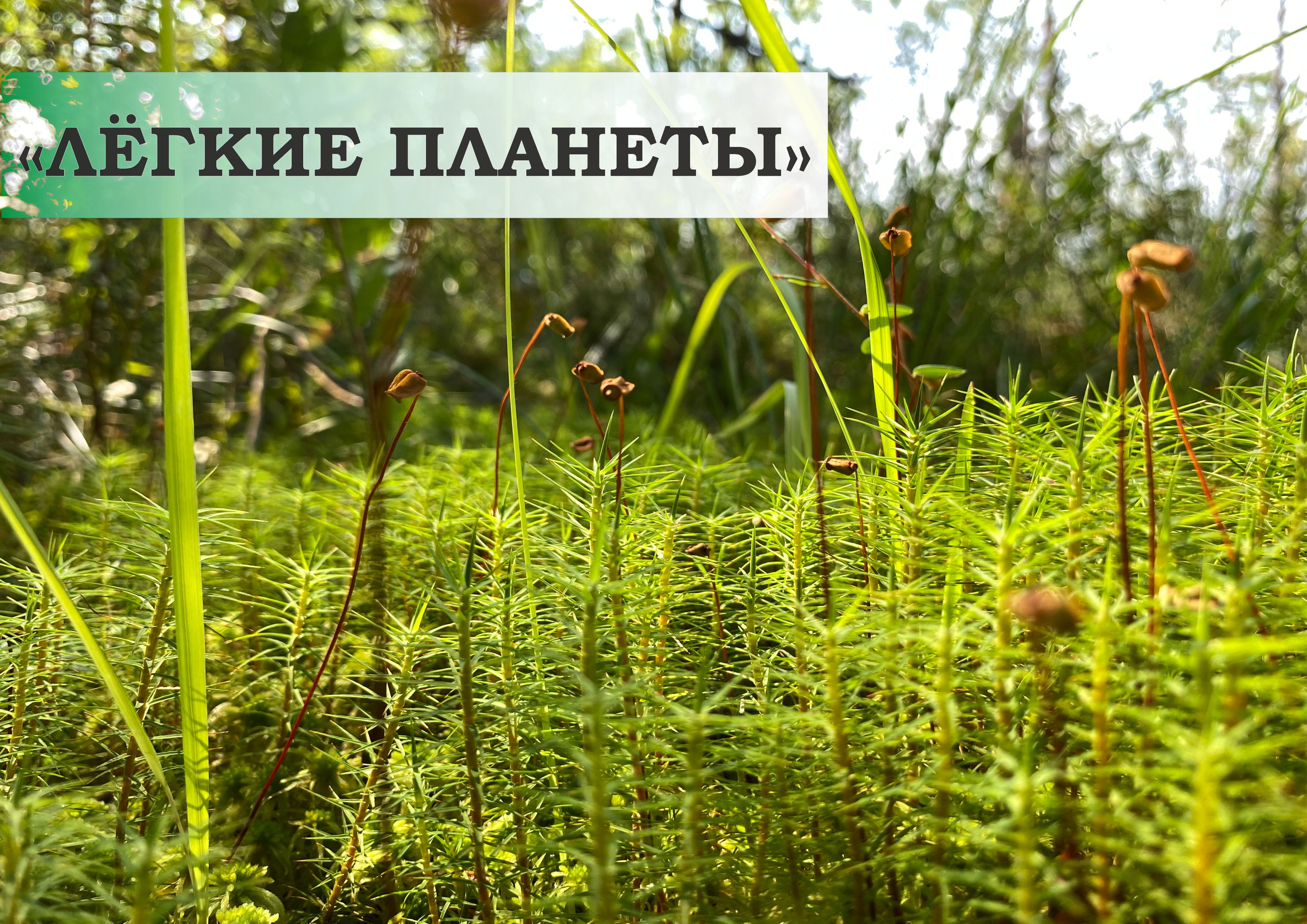 Легкие планеты. Миф или правда? Легкие планеты. Миф или правда?