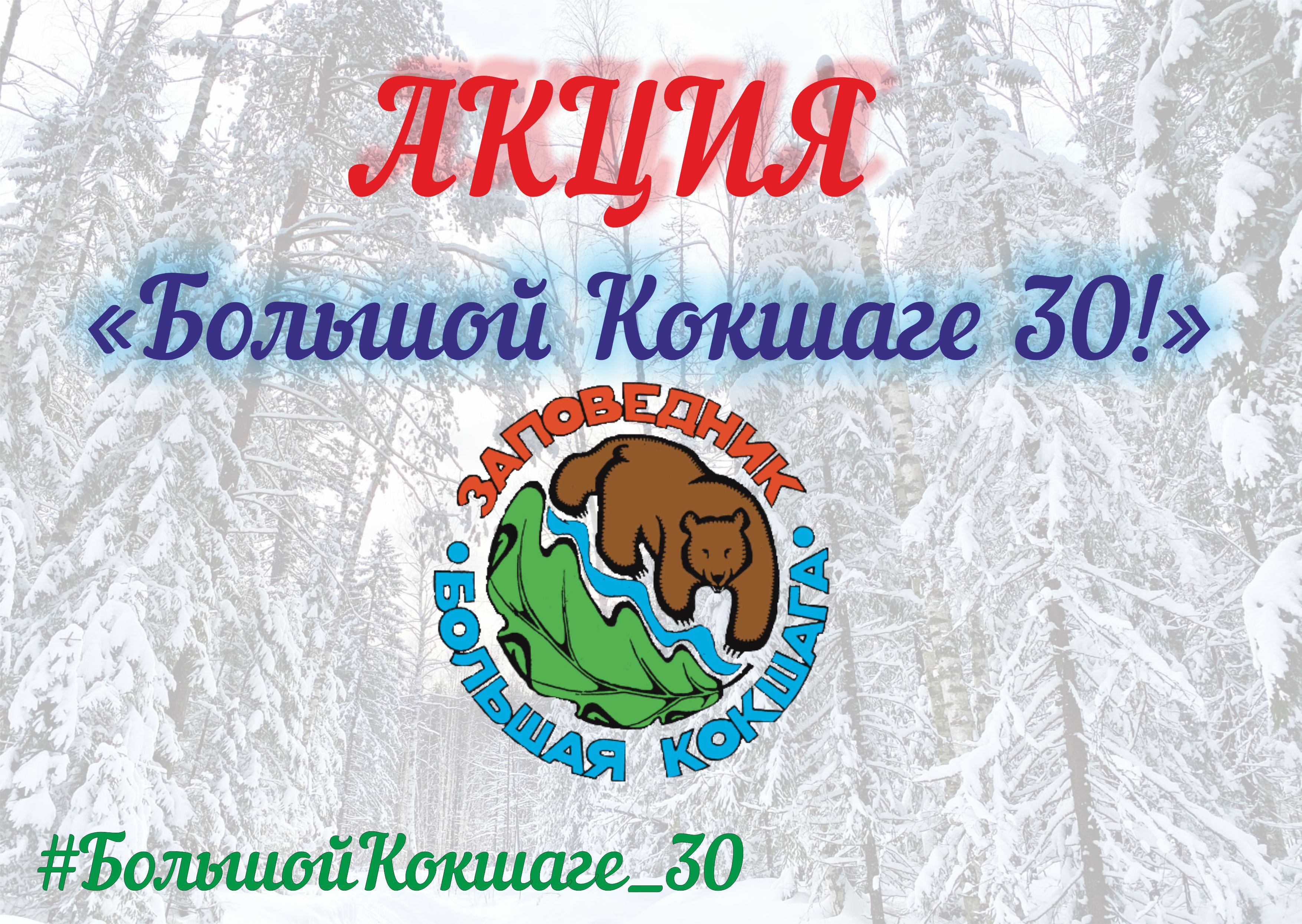 Большой Кокшаге - 30 Большой Кокшаге - 30