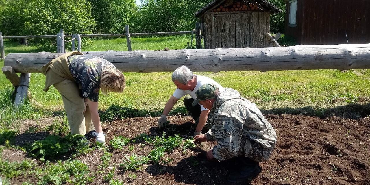 Для животного мира "Большой Кокшаги" засеяли кормовые поля