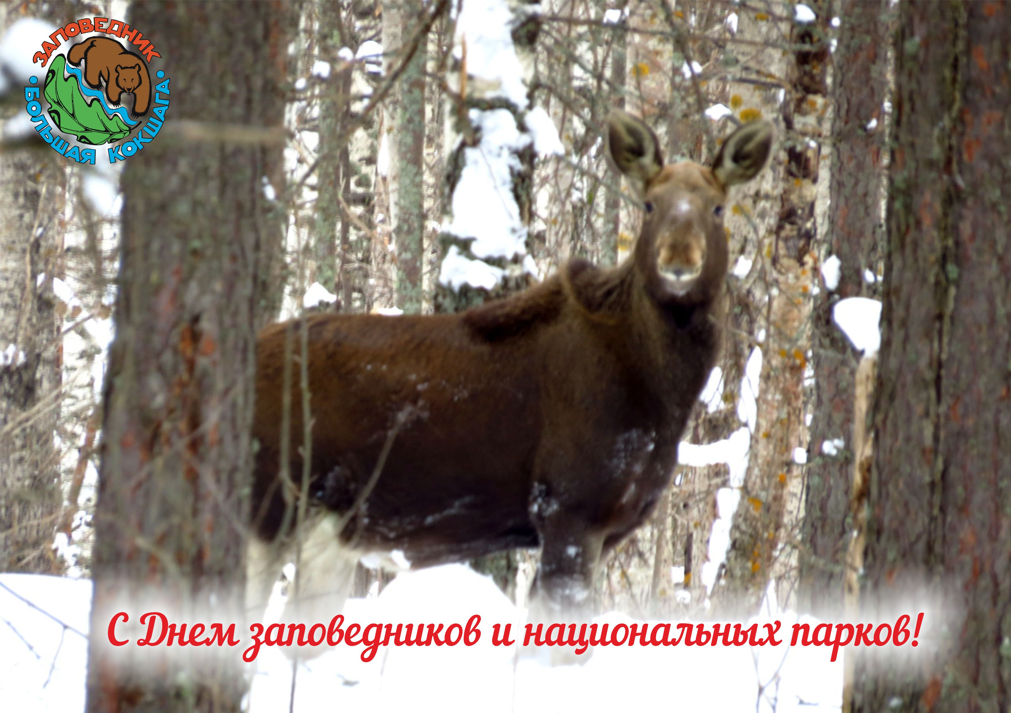 С ДНЕМ ЗАПОВЕДНИКОВ И НАЦИОНАЛЬНЫХ ПАРКОВ!