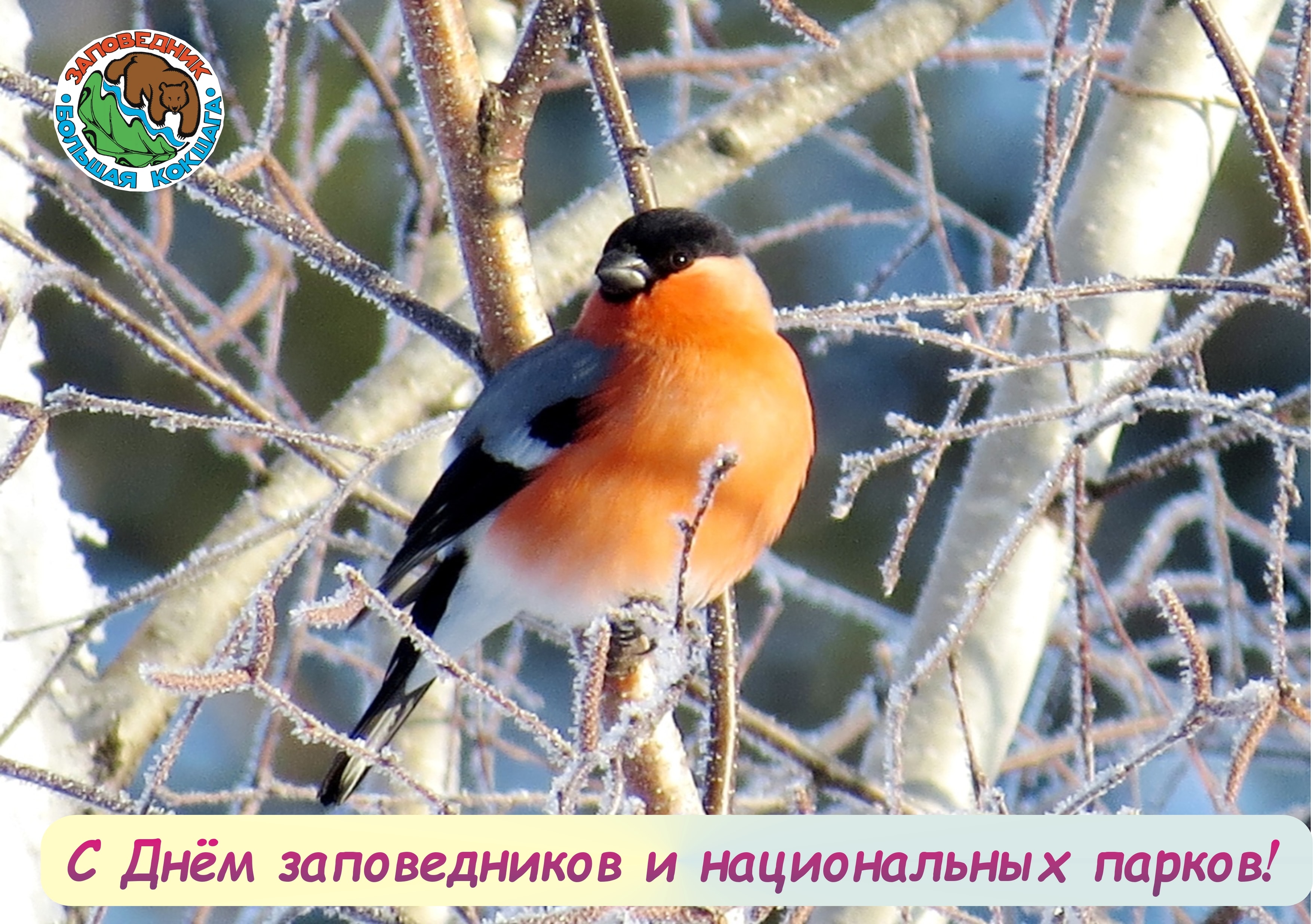 С Днем заповедников и национальных парков!