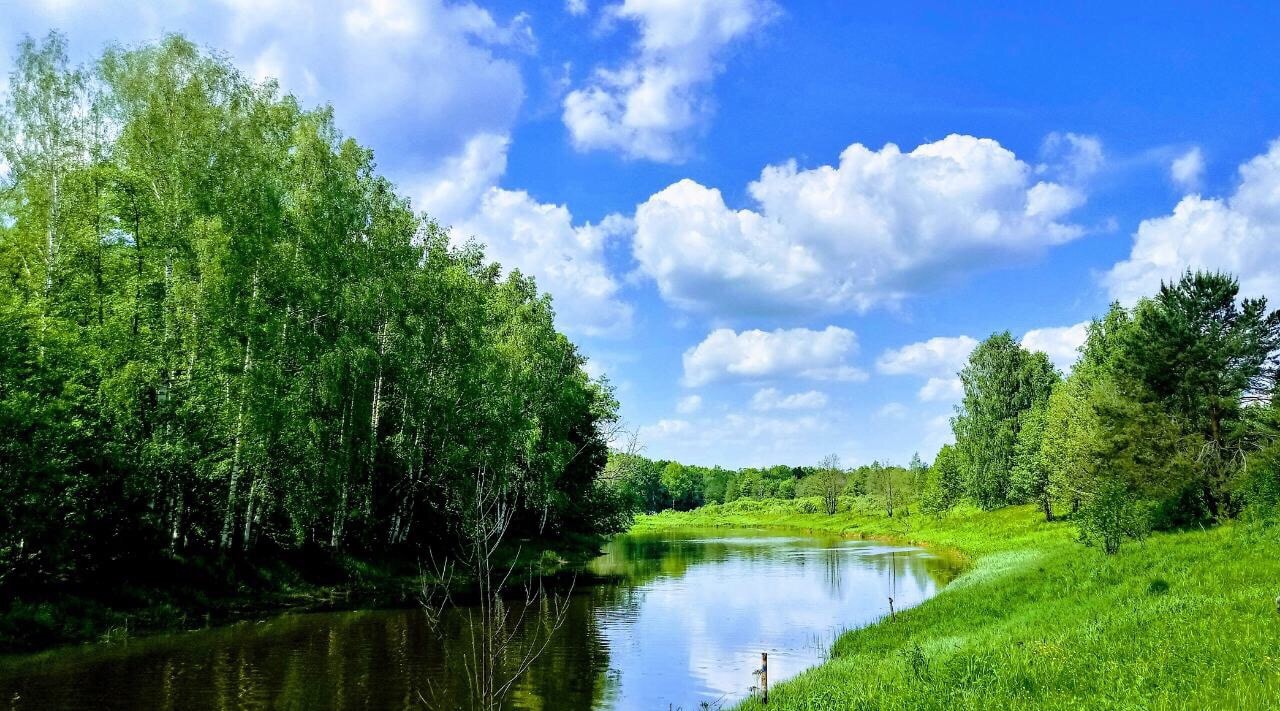 С днем эколога!