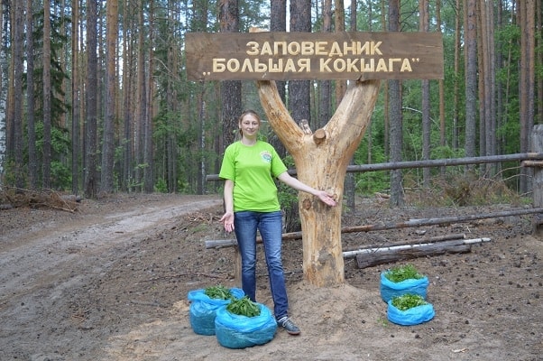 В заповеднике идет активная подготовка к туристическому сезону
