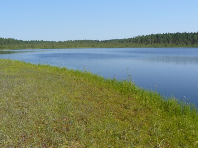 Погода в июле