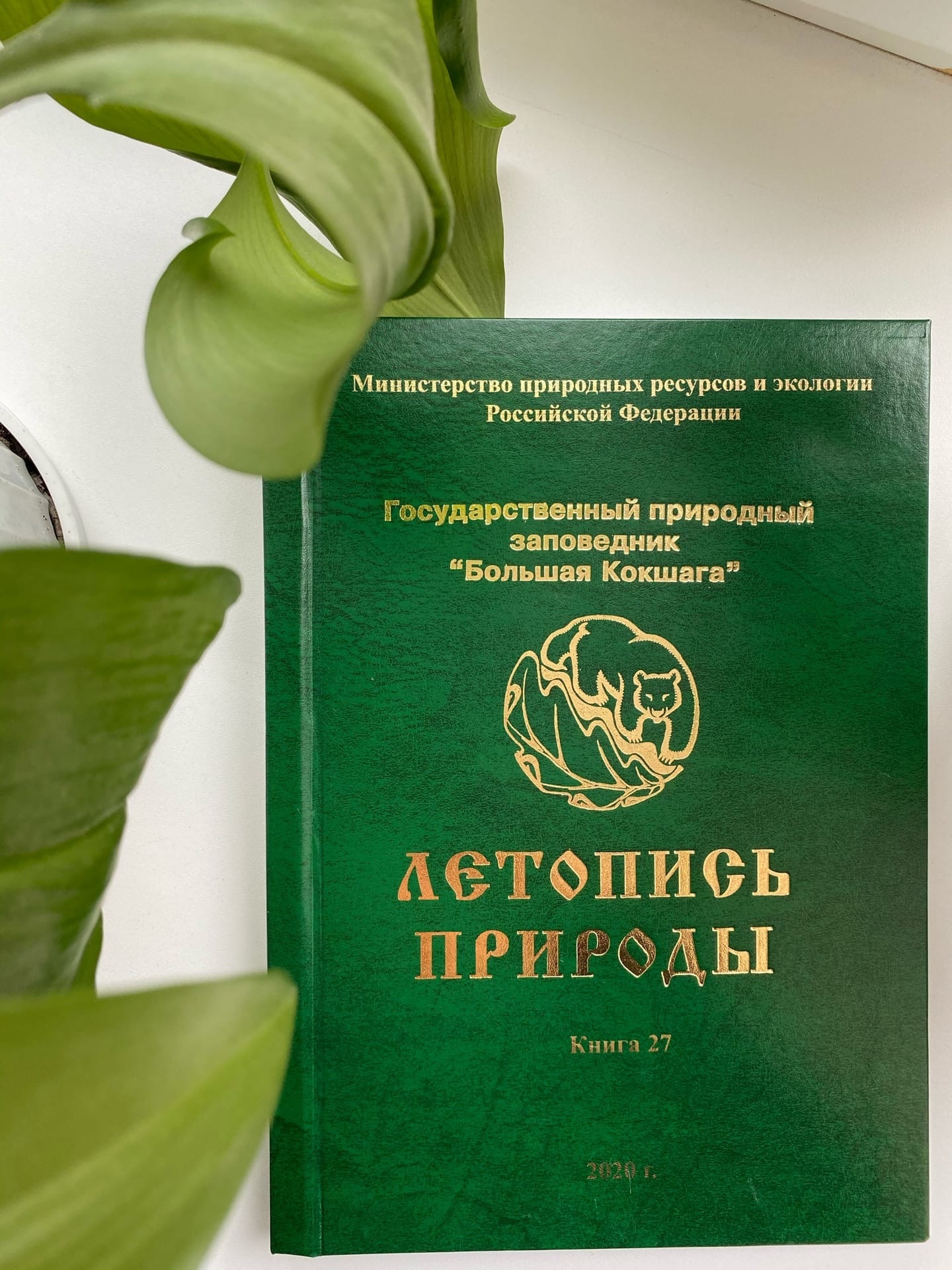 Заповедная летопись