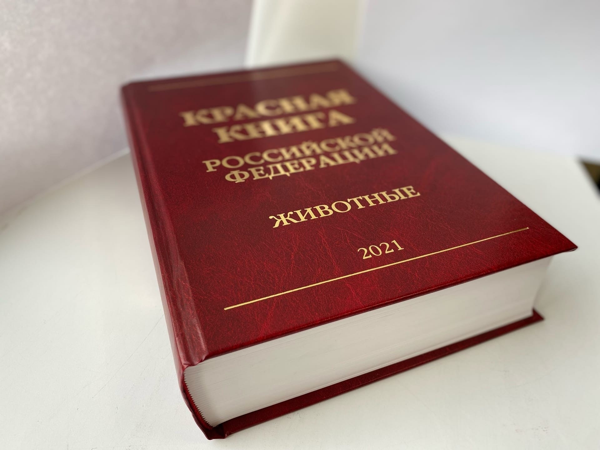 Опубликовано второе издание Красной Книги России (том "Животнрые" Опубликовано второе издание Красной Книги России (том "Животнрые"