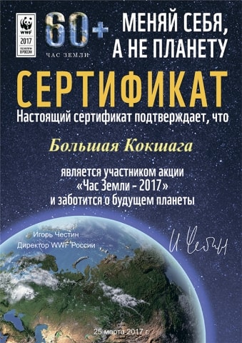 Международная акция "Час Земли - 2017"