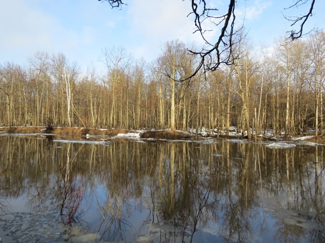 Погода апрель