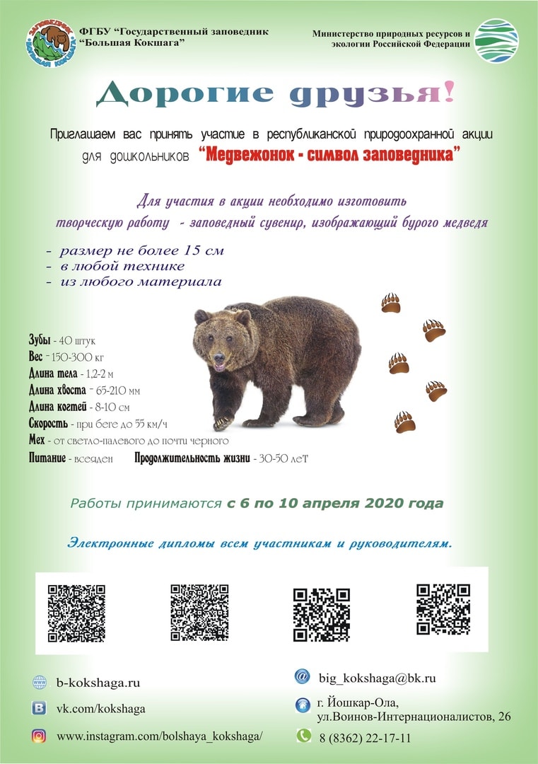 Акция для дошкольников "Медвежонок - символ заповедника"
