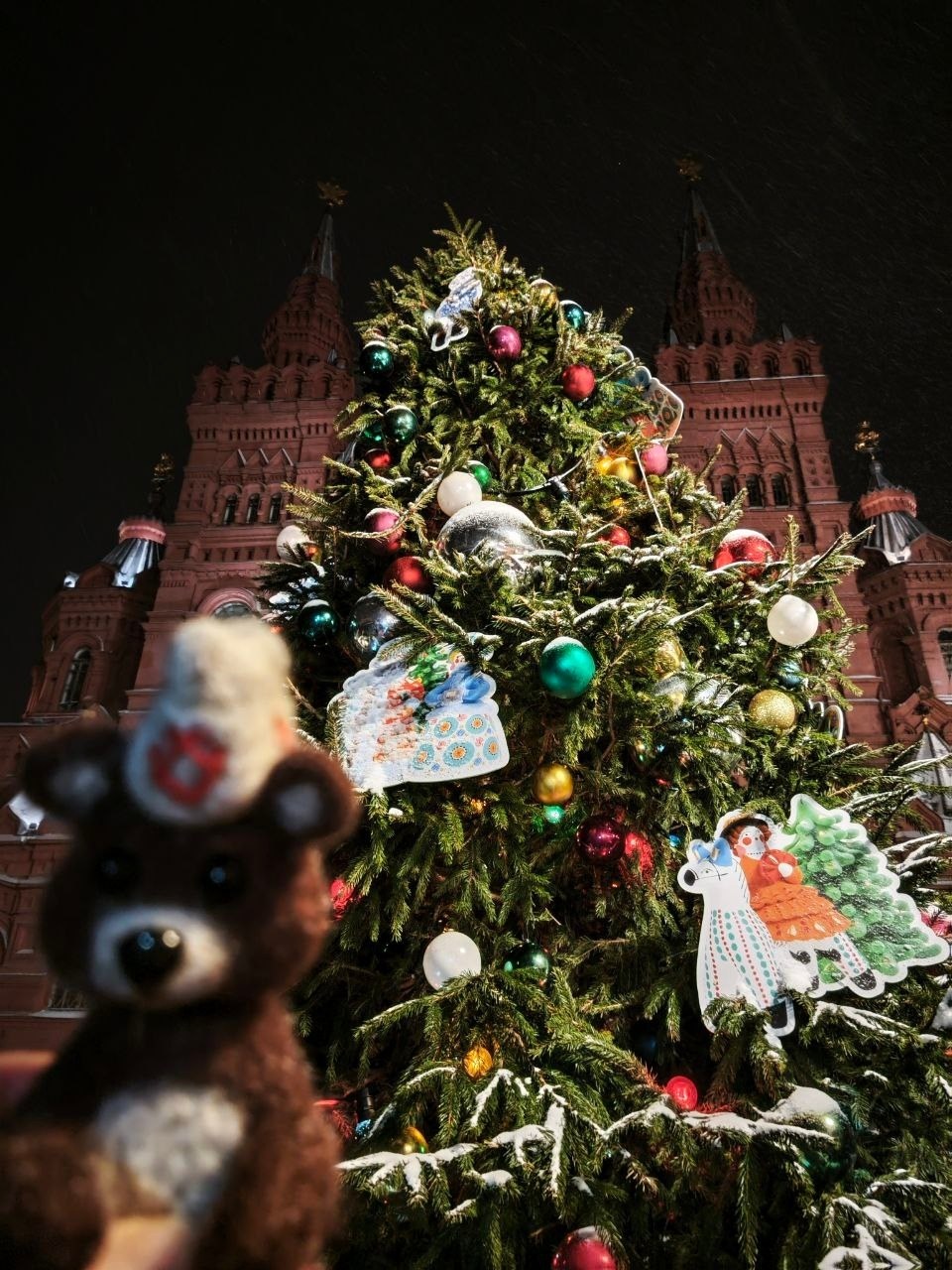 Наш Кокшаня покорил Москву
