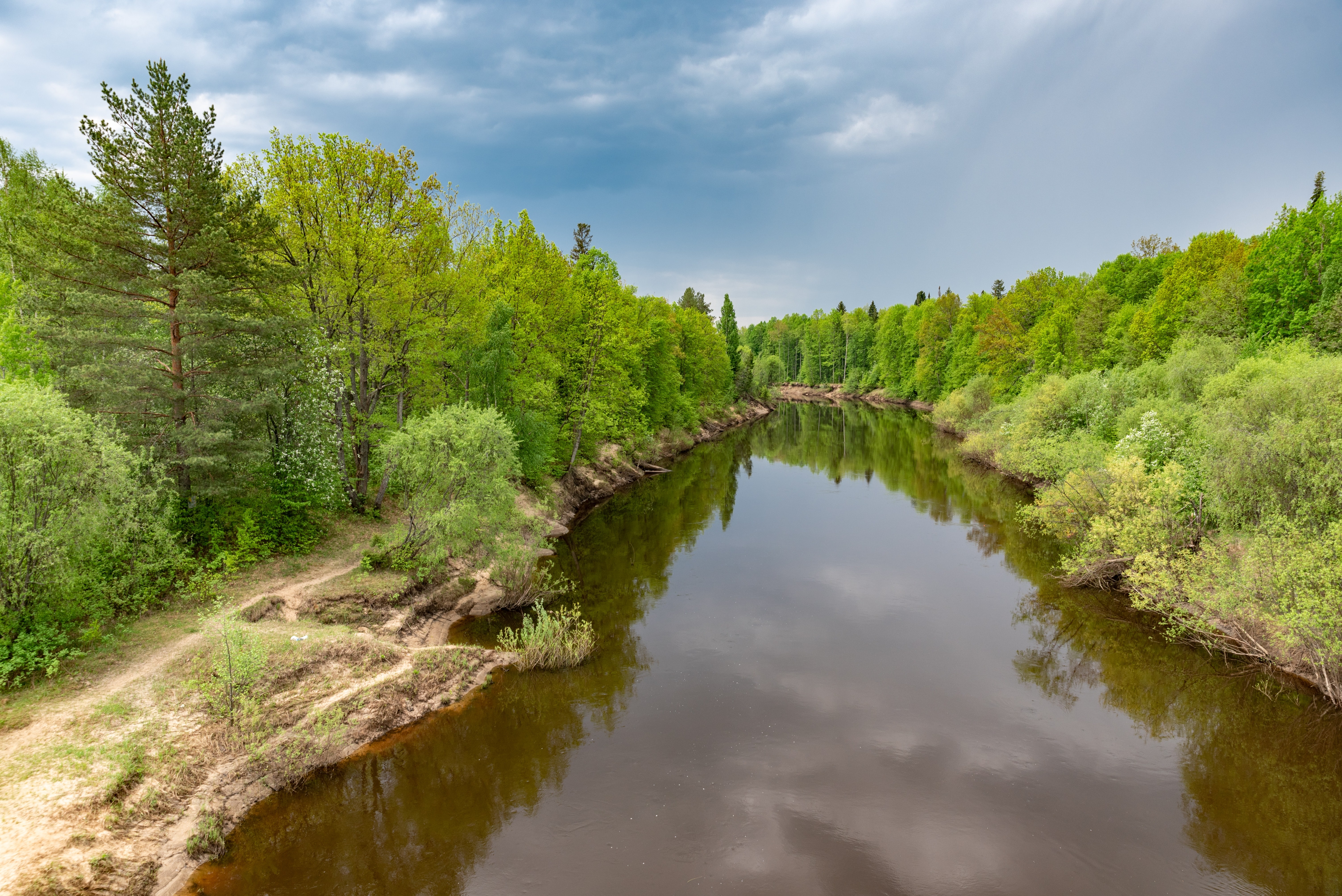Приглашаем на выставку "Мир дикой природы"