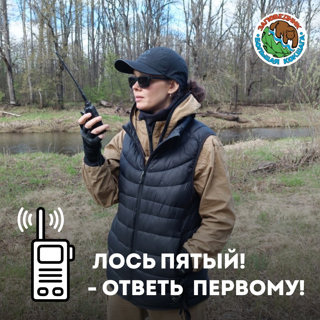 Связь в заповеднике Связь в заповеднике