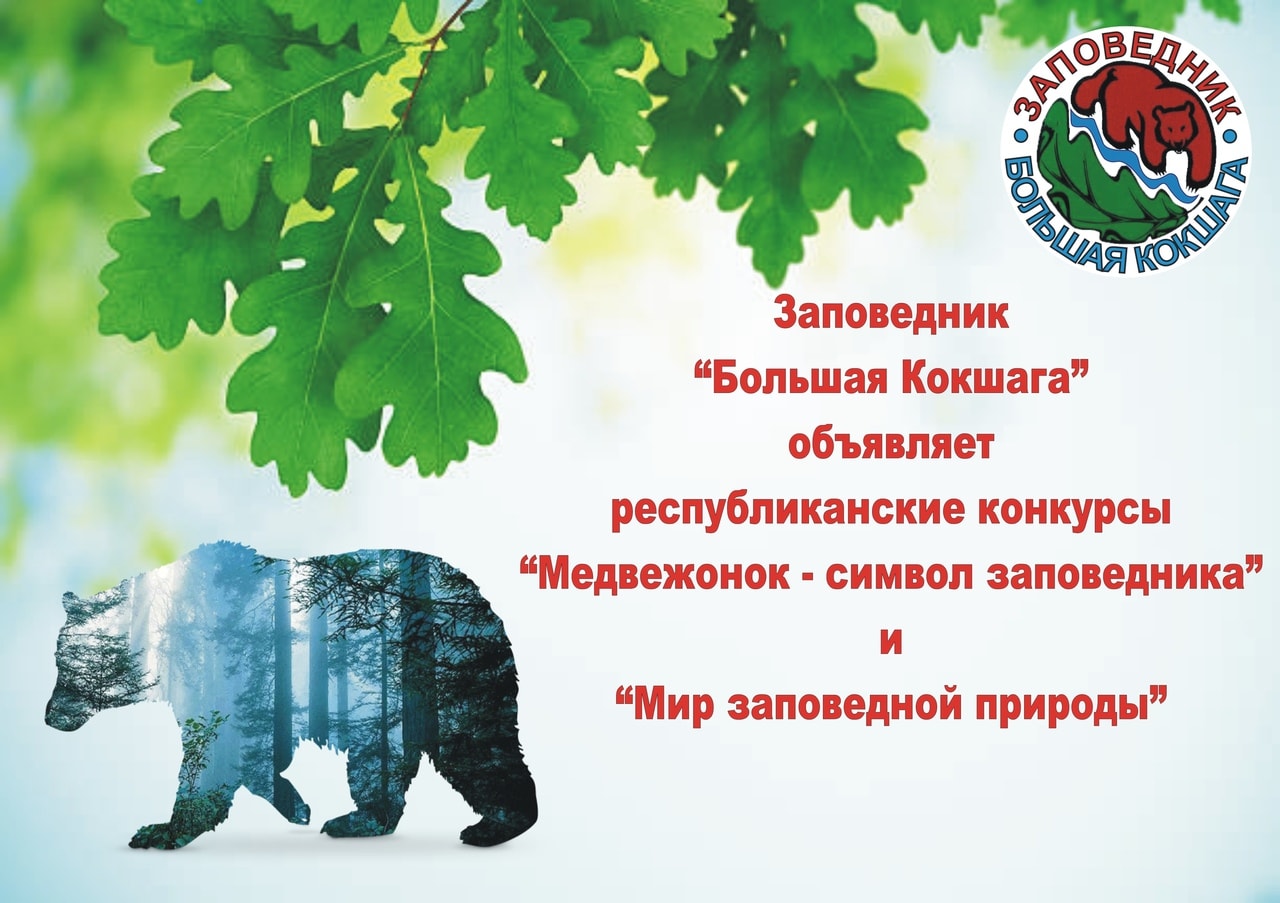 Приглашаем принять участие в конкурсах!