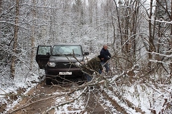 Заповедные будни