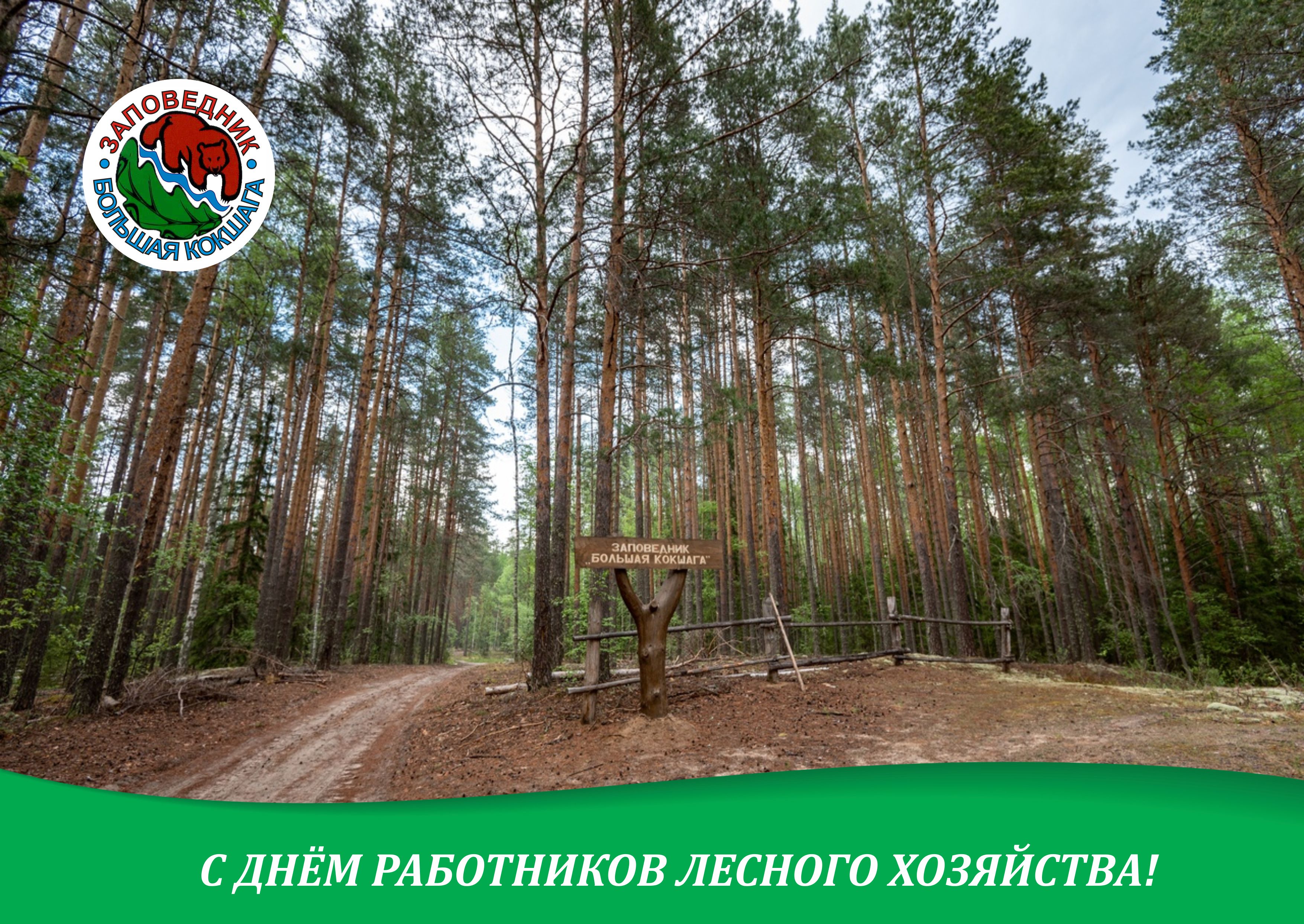 С ДНЁМ РАБОТНИКОВ ЛЕСА!
