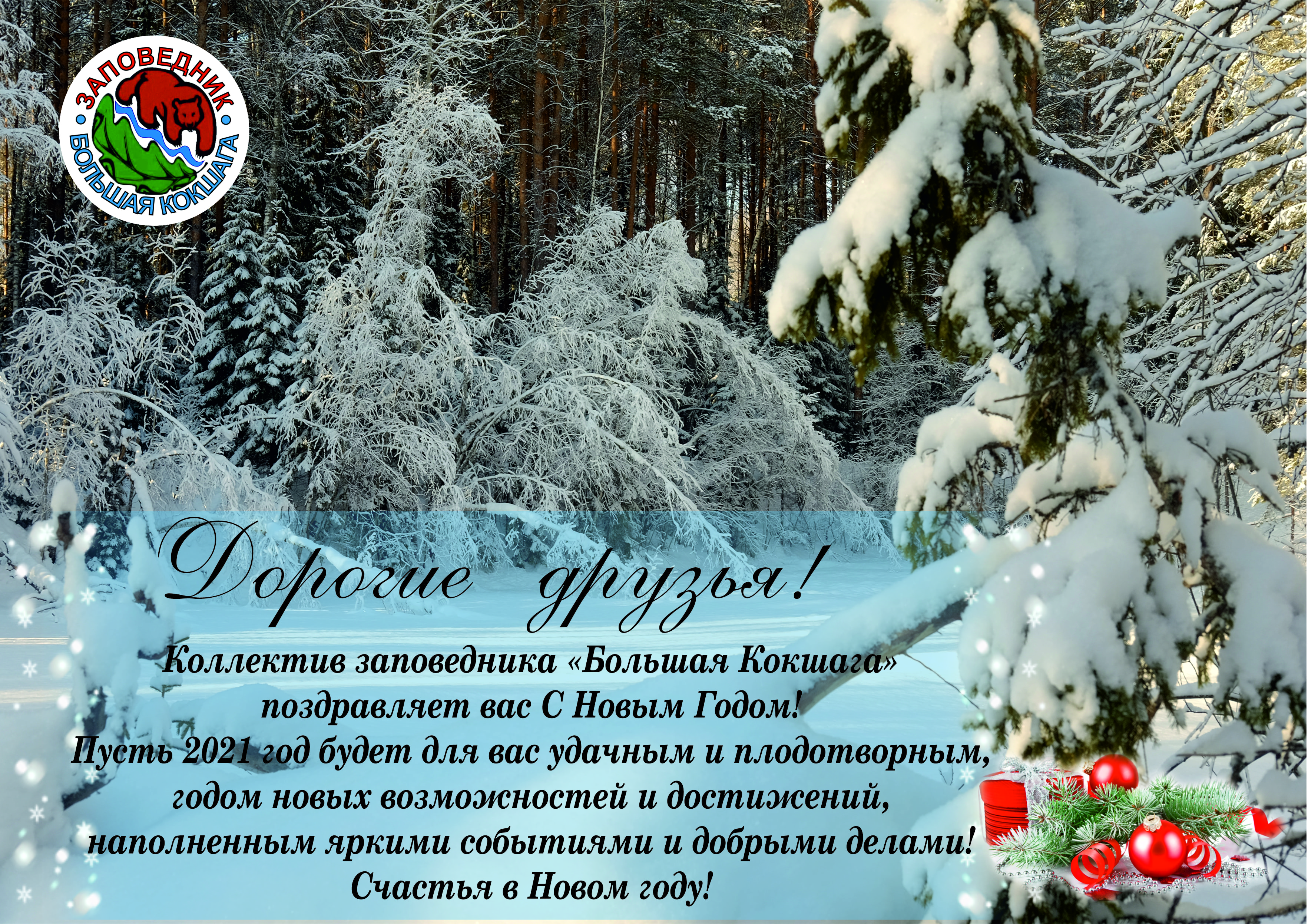С НОВЫМ ГОДОМ И РОЖДЕСТВОМ!
