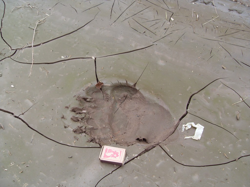 SDC14127.JPG