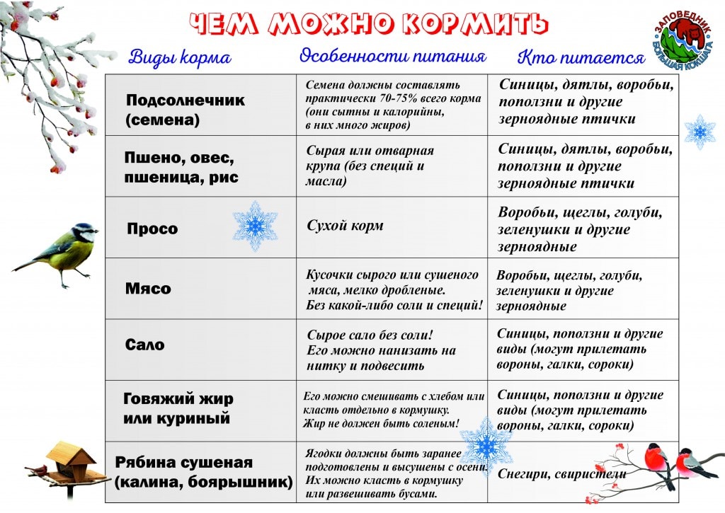 Кормушки 1.jpg Кормушки 1.jpg