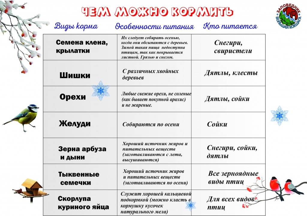 Кормушки 2.jpg Кормушки 2.jpg