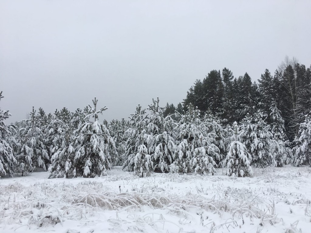 10п.jpg