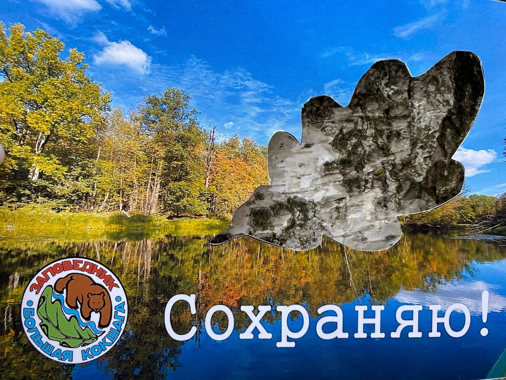 образец.jpg образец.jpg