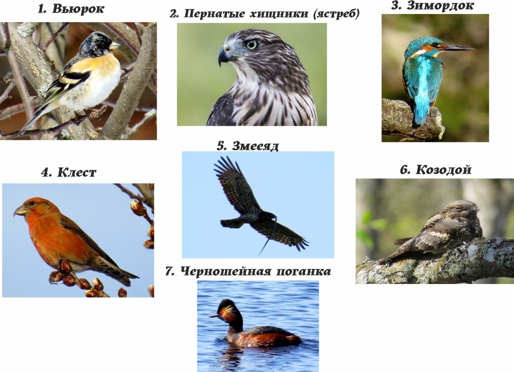 7vZGVvyWeO8.jpg 7vZGVvyWeO8.jpg