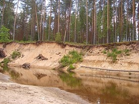 Природа заповедника