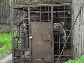 Экологические тропы