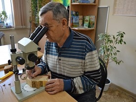 Научная деятельность