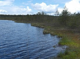 Природа заповедника