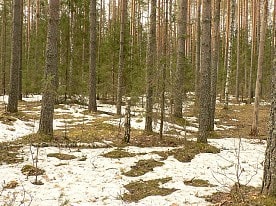 Научная деятельность заповедника