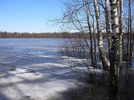 Природа заповедника