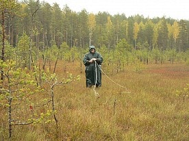 Учет урожайности черники