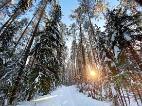 Зима