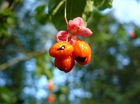 Научная деятельность заповедника