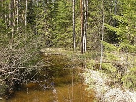 Природа заповедника
